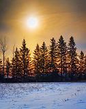 Sun Over Pines_21022-6